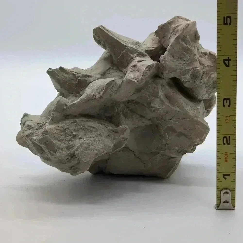 Unique Oreodont Fossil Vertebrae  in Matrix amazing display piece - Picture 2 of 7